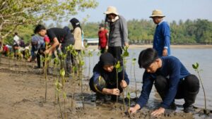 Pelajar dan Relawan Gelar Gerakan Tanam Mangrove di Kawasan Pesisir