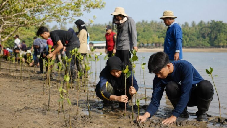 Pelajar dan Relawan Gelar Gerakan Tanam Mangrove di Kawasan Pesisir